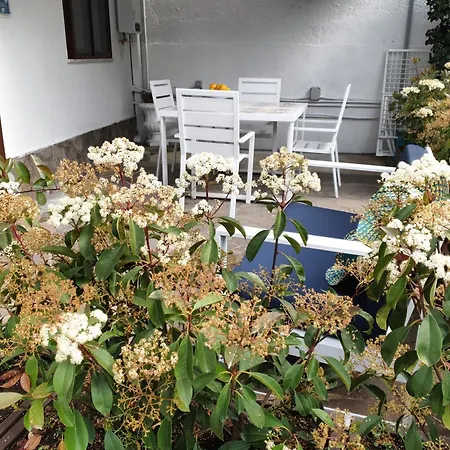 Vakantiehuis Dafne *